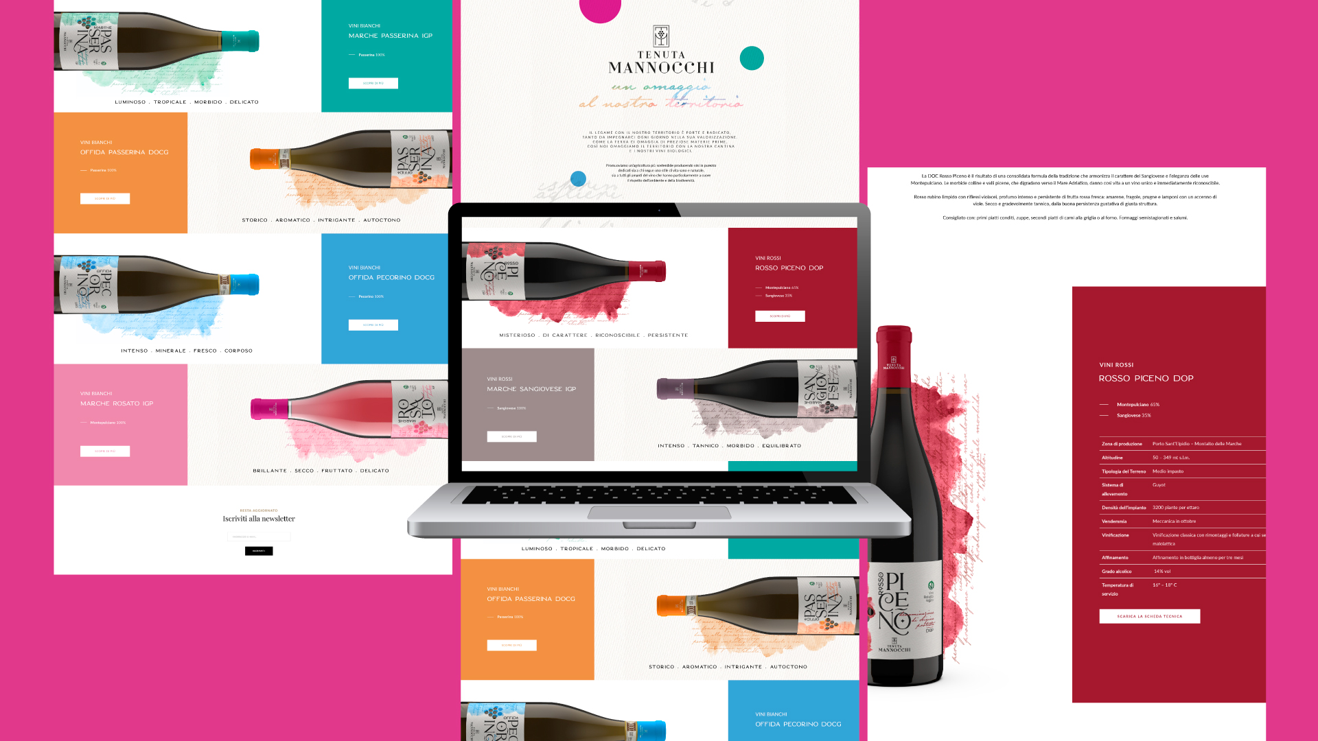 sito web vino